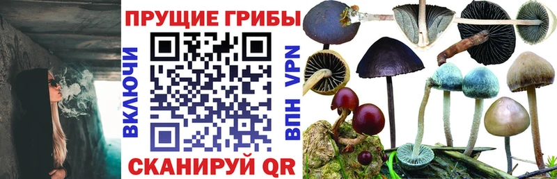 Галлюциногенные грибы GOLDEN TEACHER  Новоржев 