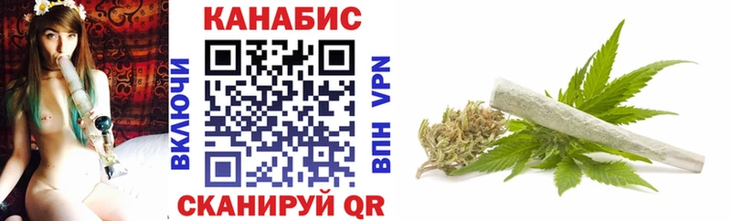 МАРИХУАНА план  купить наркотик  блэк спрут маркетплейс  Новоржев 